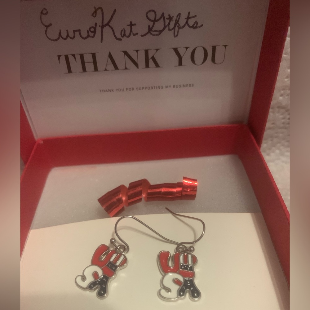 NEW Silver Red White and Blue USA Earrings with silver ss Earwires Metal NWT